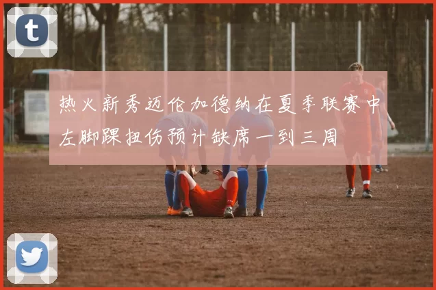 热火新秀迈伦加德纳在夏季联赛中左脚踝扭伤预计缺席一到三周